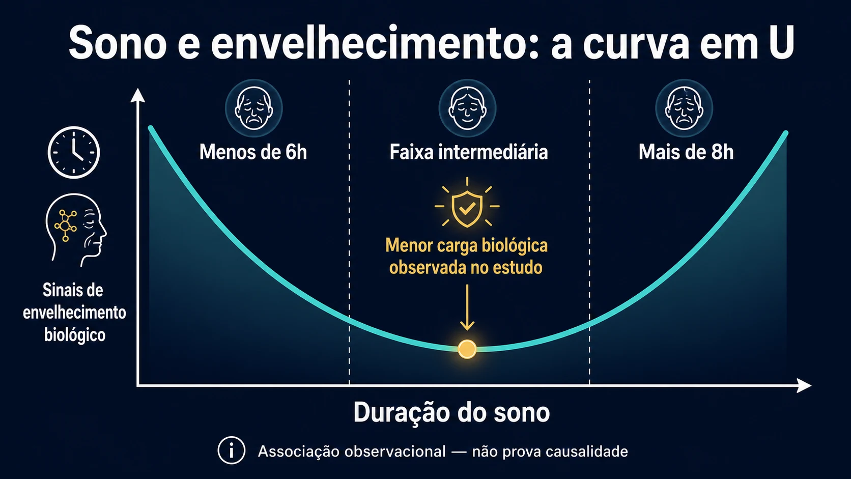 Curva em U mostrando sono curto, faixa intermediária e sono longo associados a envelhecimento biológico